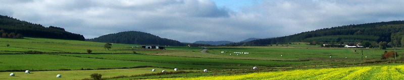 Ferienwohnung in der Natur